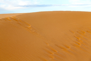 Similar image 10435036