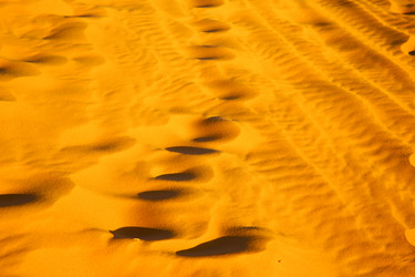 Similar image 10435084