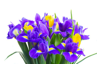 Similar image 10435200