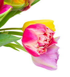 Similar image 10435203