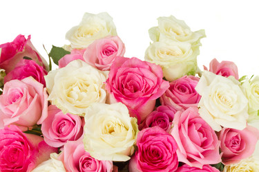 Similar image 10435242