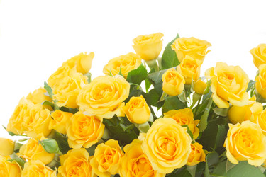 Similar image 10435250