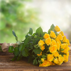 Similar image 10435253