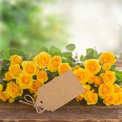 Similar image 10435256