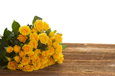 Similar image 10435257