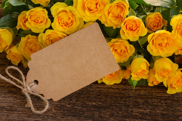 Similar image 10435258