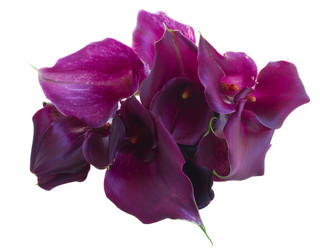 Similar image 10435261