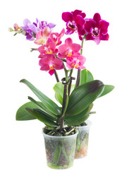 Similar image 10435277