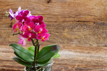 Similar image 10435279