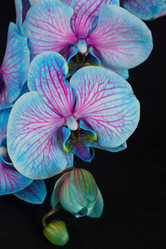 Similar image 10435281