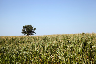 Similar image 10435283