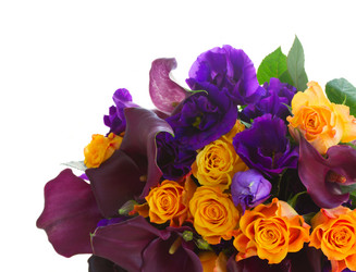 Similar image 10435292