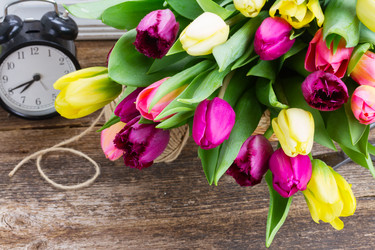 Similar image 10435297