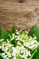 Similar image 10435299