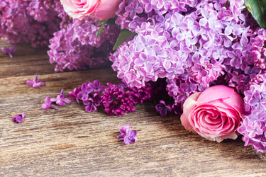 Similar image 10435300