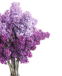 Similar image 10435301