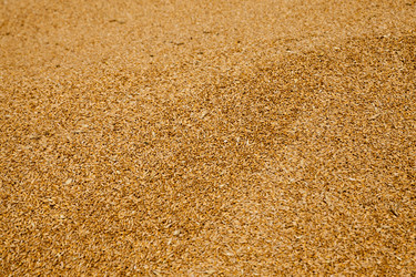 Similar image 10435303