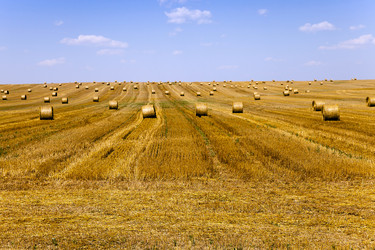 Similar image 10435307