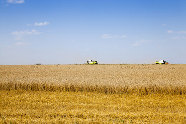 Similar image 10435320