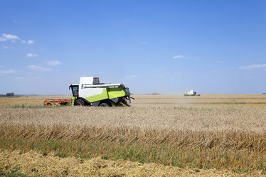 Similar image 10435334