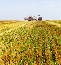 Similar image 10435341