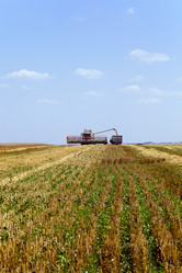 Similar image 10435356