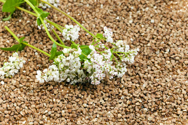 Similar image 10435362