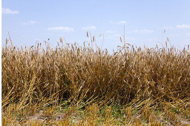 Similar image 10435368