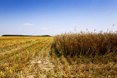 Similar image 10435370