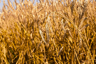 Similar image 10435373