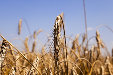 Similar image 10435427