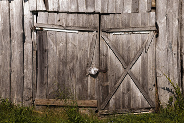 Similar image 10435495