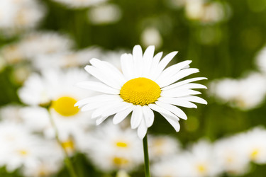 Similar image 10435496