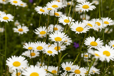 Similar image 10435503