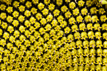 Similar image 10435514