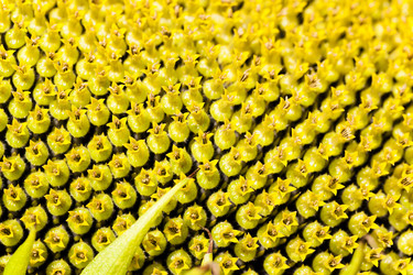 Similar image 10435524