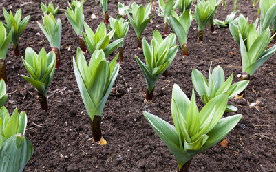 Similar image 10435538