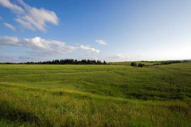 Similar image 10435540