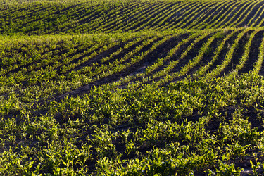 Similar image 10435576