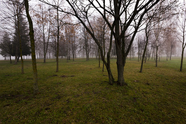 Similar image 10435615