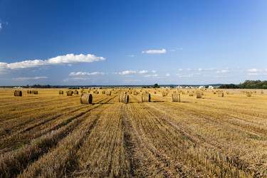 Similar image 10435648