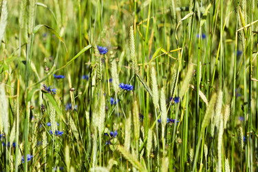 Similar image 10435655