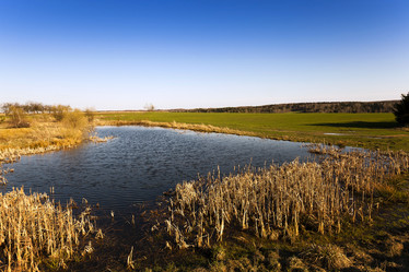 Similar image 10435660