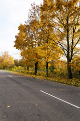 Similar image 10435674