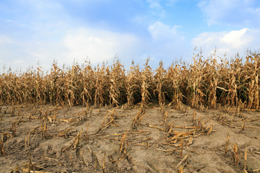 Similar image 10435684