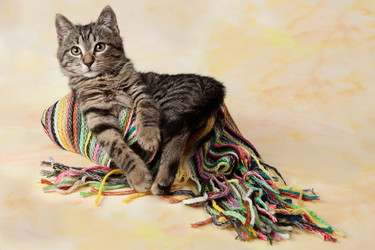 Similar image 10435700