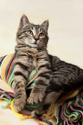 Similar image 10435701