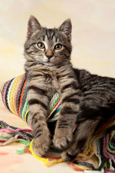 Similar image 10435702