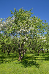 Similar image 10435710