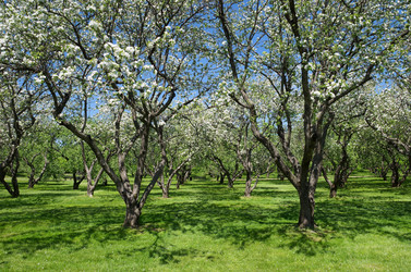 Similar image 10435712